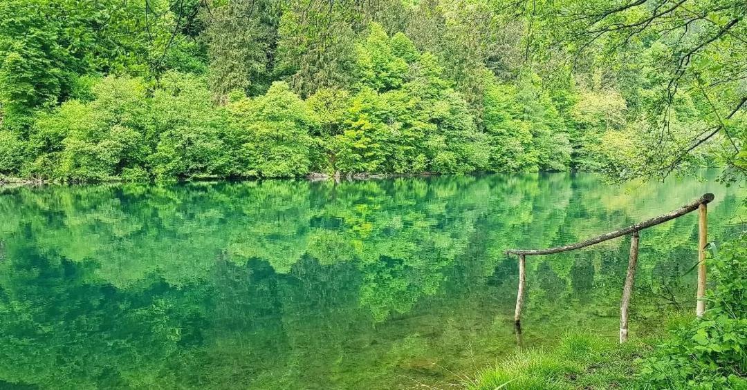 Апартаменты Casa Bosco Левико-Терме Экстерьер фото